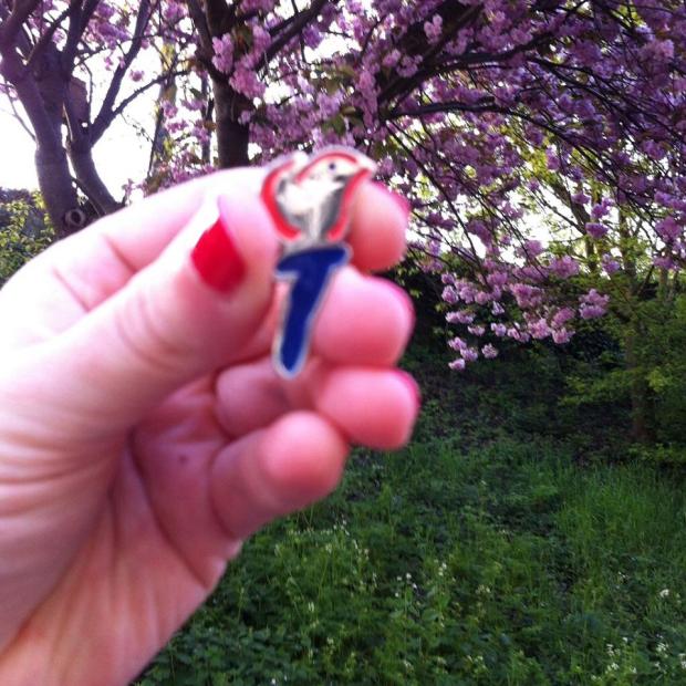 13177557_232433067147634_2125934587122660267_n